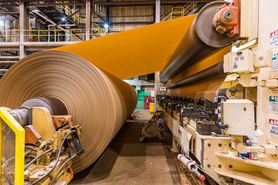Máquina ondulada de uma fatura de papel de 1575 milímetros linha de produção 300gsm do rolo enorme