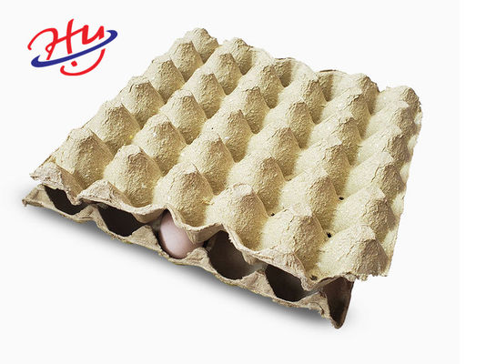 Equipamento de fabricação de Tray Moulding Machine Paper Plate do ovo
