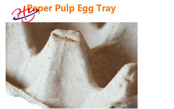 Equipamento de produção do recipiente de alimento de Tray Egg Plate Thermocol Foam do ovo