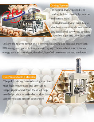 Garrafa Tray Production Line do sistema do molde de Tray Making Machine Paper Pulp do ovo 7000PCS/H