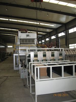 Ovo automático Tray Carton Machine da maquinaria do molde da polpa do de alta capacidade da fonte da fábrica de Haiyang