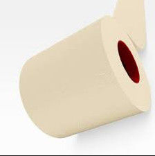 Linha de produção para o papel higiênico Rolls 2800MM, máquina da fatura de papel higiênico 15Tons/8H